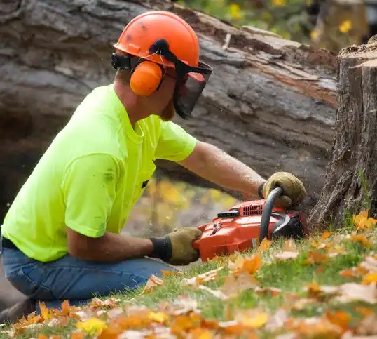 tree services Radium Springs